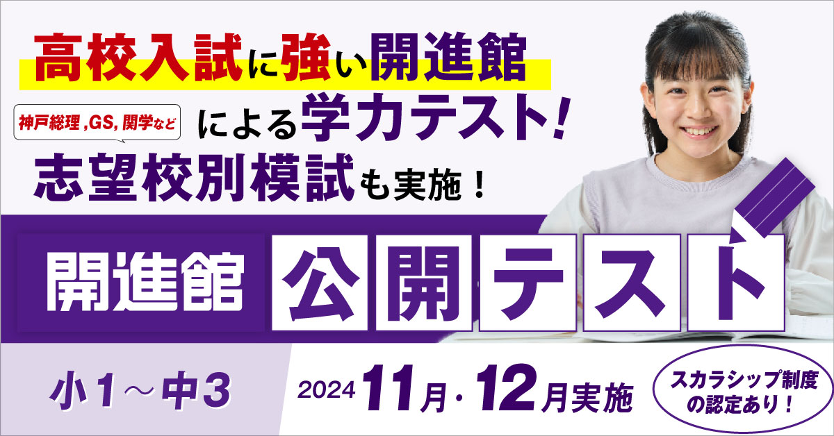 公開テスト 2024年11月・12月